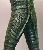 CFTBL_Aurora_10.jpg