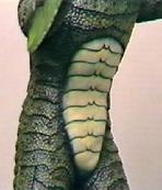 CFTBL_Aurora_9.jpg