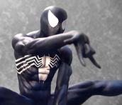 Spider-Man_-_Black_CU_6.jpg